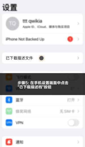 欧博iOS应用安装步骤与配置流程的可视化示意图5